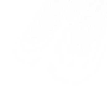 9870f7bdbdeb31c25603